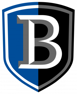 Bentley Falcons - Wikipedia
