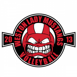 VOLLEYBALL T-SHIRTS AND DESIGNS