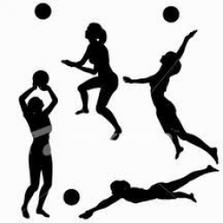 9 Best P.E images in 2013 | Volleyball silhouette ...