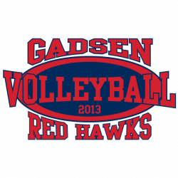 VOLLEYBALL T-SHIRTS AND DESIGNS