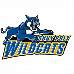 SUNY-Polytechnic Institute Wildcats Womens College Volleyball - SUNY ...