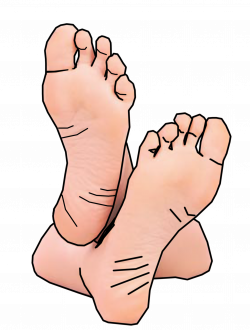 Free clipart feet walking collection