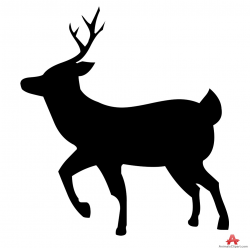 Free Walking Deer Cliparts, Download Free Clip Art, Free ...