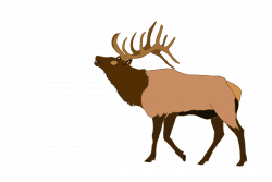 Elk | Free Images at Clker.com - vector clip art online, royalty ...