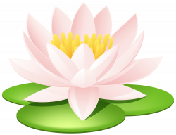 Water Lily Transparent PNG Image | Gallery Yopriceville - High ...