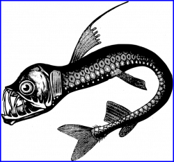 The Best Clipart Real Sea Monster Backgrounds Etc Picture For Fish ...