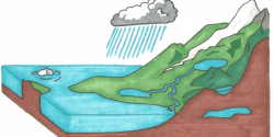 Water Cycle Steps: Earth's Natural System of Viability