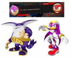 So Operation Big Wave involves those two right? : SonicTheHedgehog