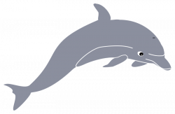 Dolphin Clipart - Free Clip Art - Clipart Bay