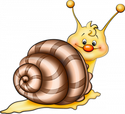 Brown Snail Cartoon PNG Picture | Whimsical Animals | Pinterest ...