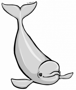 Cartoon Beluga Whale #3120