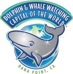 Bucket List Look at the World's Best Whale Watching | Dana Wharf