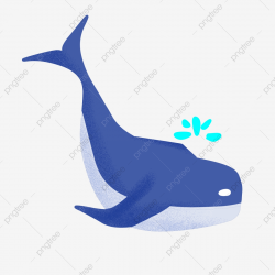 Blue Whale Cartoon Illustration Hand Drawn Whale ...