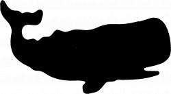 Whale Silhouette Clipart