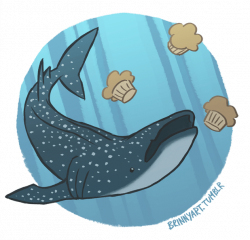 Whale Shark Cartoon Drawing | Cartoonview.co