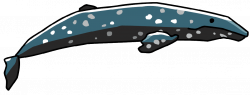 Gray Whale | Scribblenauts Wiki | FANDOM powered by Wikia