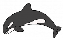 Whale Clipart For Kids