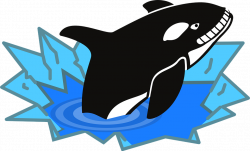 Killer Whale Clipart real whale - Free Clipart on Dumielauxepices.net
