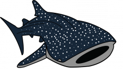 Stingray Clipart whale shark - Free Clipart on Dumielauxepices.net