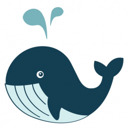 Whappy for Whale Friendly Tourism in Iceland by AppFellas B.V.