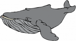 Free Gray Whale Cliparts, Download Free Clip Art, Free Clip ...