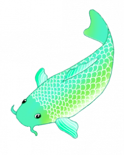 Colorful Koi Fish Drawings