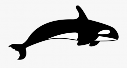 Blue Whale Clipart Tail - Killer Whale Clipart Black And ...