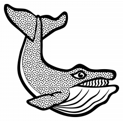 Clipart - whale - lineart