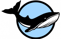 Whale Signal - Sizetrade