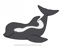Killer whale silhouette - crazywidow.info