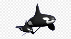 Killer Whale Clipart Real Whale - Killer Whale Transparent ...