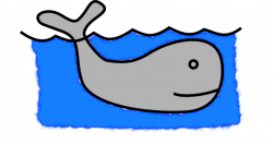 The shallow whale