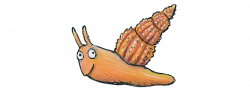 Axel Scheffler's official website | The Snail and the Whale