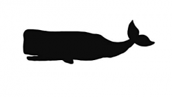 Pack of 3 Whale Sperm Whale Stencils, 16x20, 11x14 and 8x10 Made from 4 Ply  Matboard