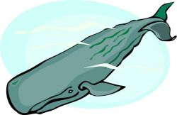 Free Sperm Whale Cliparts, Download Free Clip Art, Free Clip ...