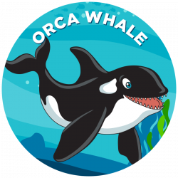 Orca Whale - Propel Swim Academy