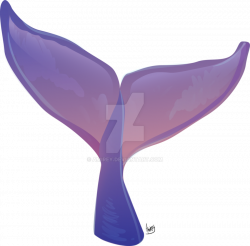 Whale tail by Amirey on DeviantArt