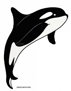 Orca Whale | Whales Dolphins Sharks Crocodiles Sea Walrus Otter ...