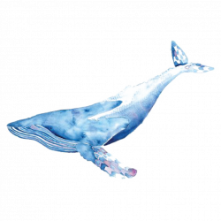 whale watercolor freetoedit - Sticker by Hanjo Rafael