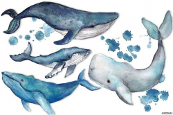 Whale clip art, watercolor whales painted by hand, ocean ...