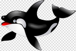 Killer whale Dolphin , Cute dolphin transparent background ...