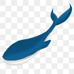 Blue Whale Png, Vector, PSD, and Clipart With Transparent ...