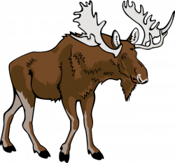Free Winter Moose Cliparts, Download Free Clip Art, Free Clip Art on ...