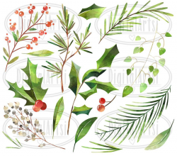Watercolor Winter Plants Clipart #images#visible#sample ...