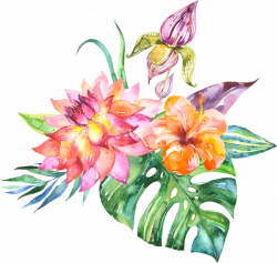 fleurs,flores,flowers,bloemen,png | SCRAPBOOK DIGITAL | Pinterest ...