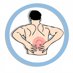 Information on how to get and maintain a healthy lower back – Zero ...