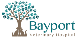 Bayport Veterinary Hospital - Veterinarian In Bayport, NY USA ...