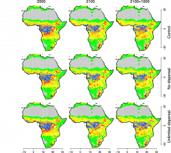 Simulated biome distributions for the control and the no dispersal ...