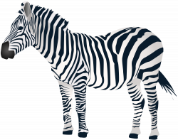 Zebra Clipart at GetDrawings.com | Free for personal use Zebra ...