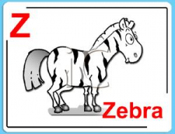 Z Is For Zebra Alphabet Card - Royalty Free Clipart Picture